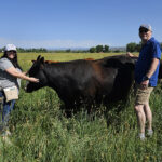 Customers Johnny and Angelica hugging a cow