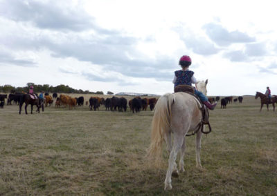 Izzi, 6-years-old, moving cows with Smokey, grassfed beef, Princess Beef, Colorado
