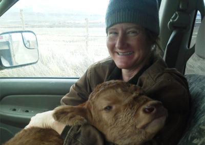Cynthia, calf, grassfed beef, Princess Beef, Colorado