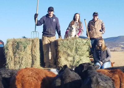 Houseweart Family with their dog Cora on top of truck bed with bales of hay and cows below